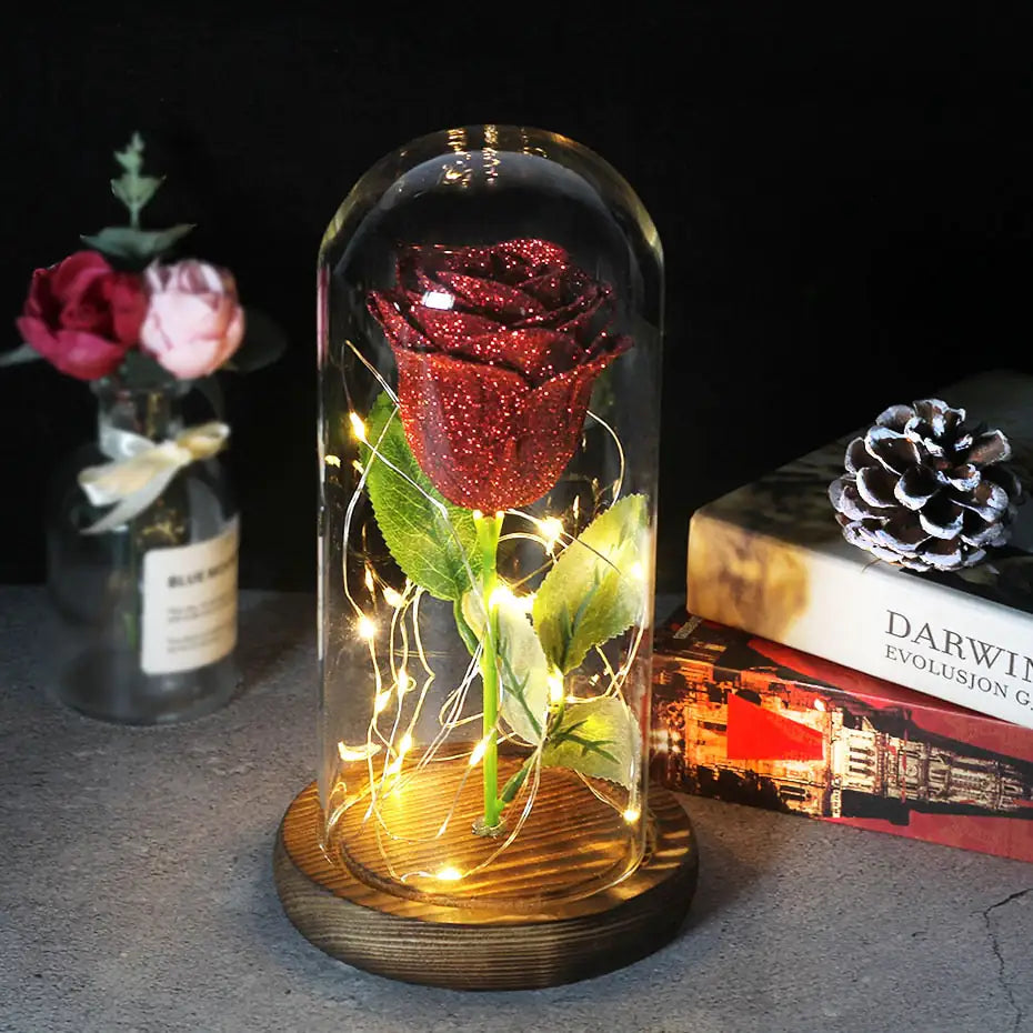 Valentine`s Rose